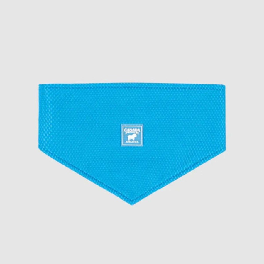 Home & Decor * | Canada Pooch Cooling Bandana Large Blue