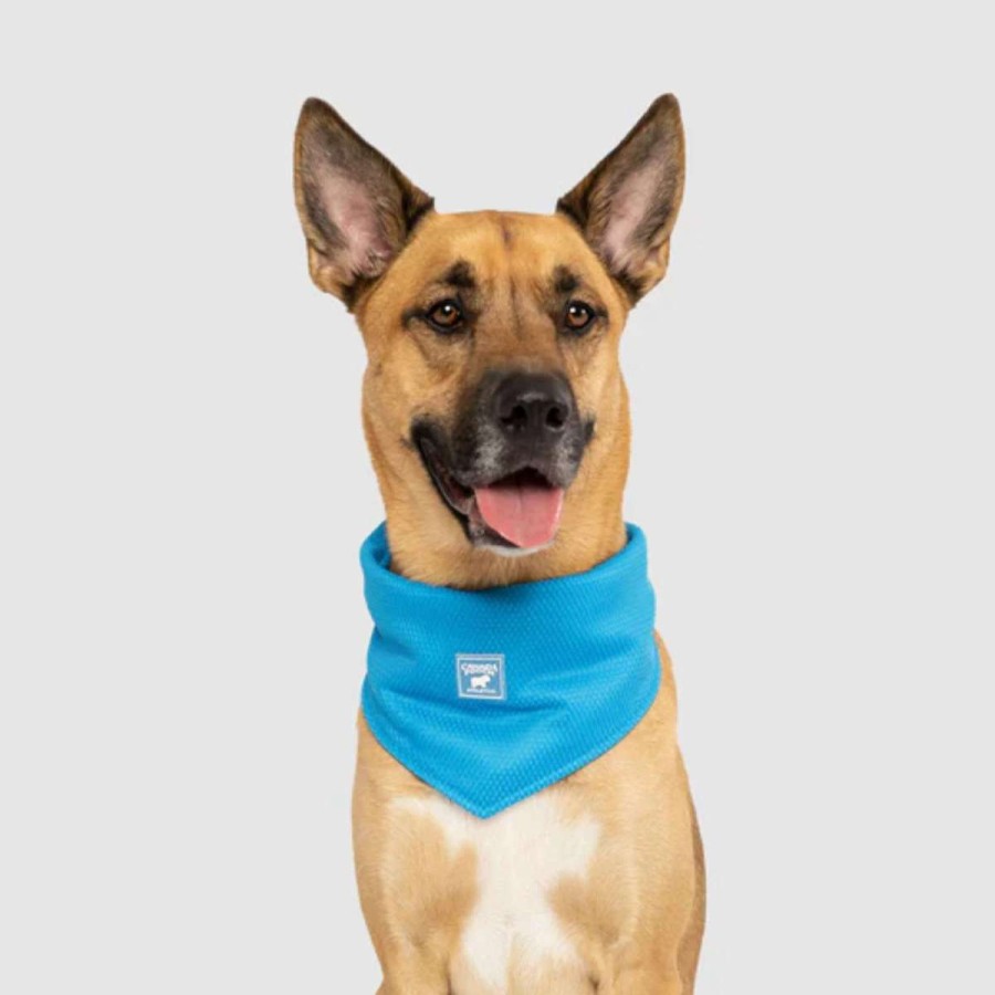 Home & Decor * | Canada Pooch Cooling Bandana Large Blue