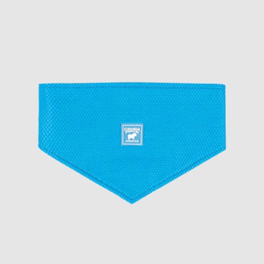 Home & Decor * | Canada Pooch Cooling Bandana Medium Blue