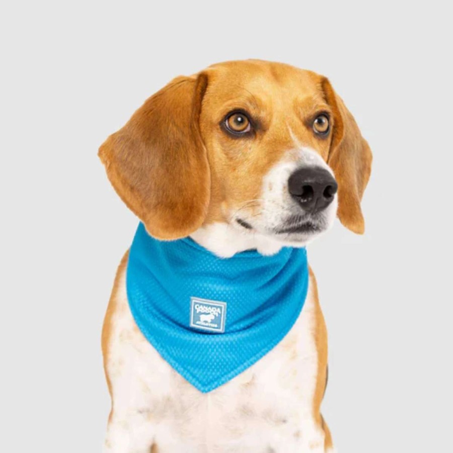 Home & Decor * | Canada Pooch Cooling Bandana Medium Blue